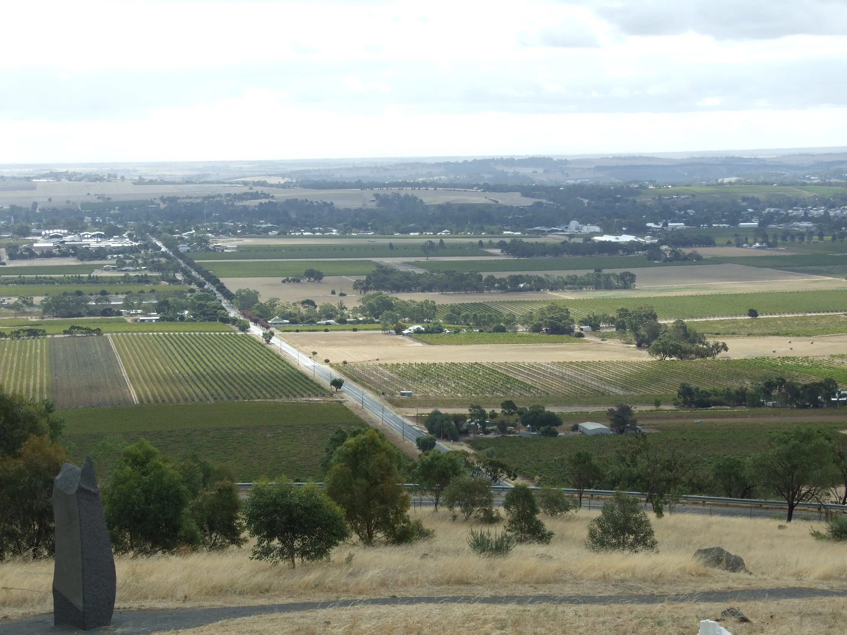 Barossa Valley — small hills, big shiraz
