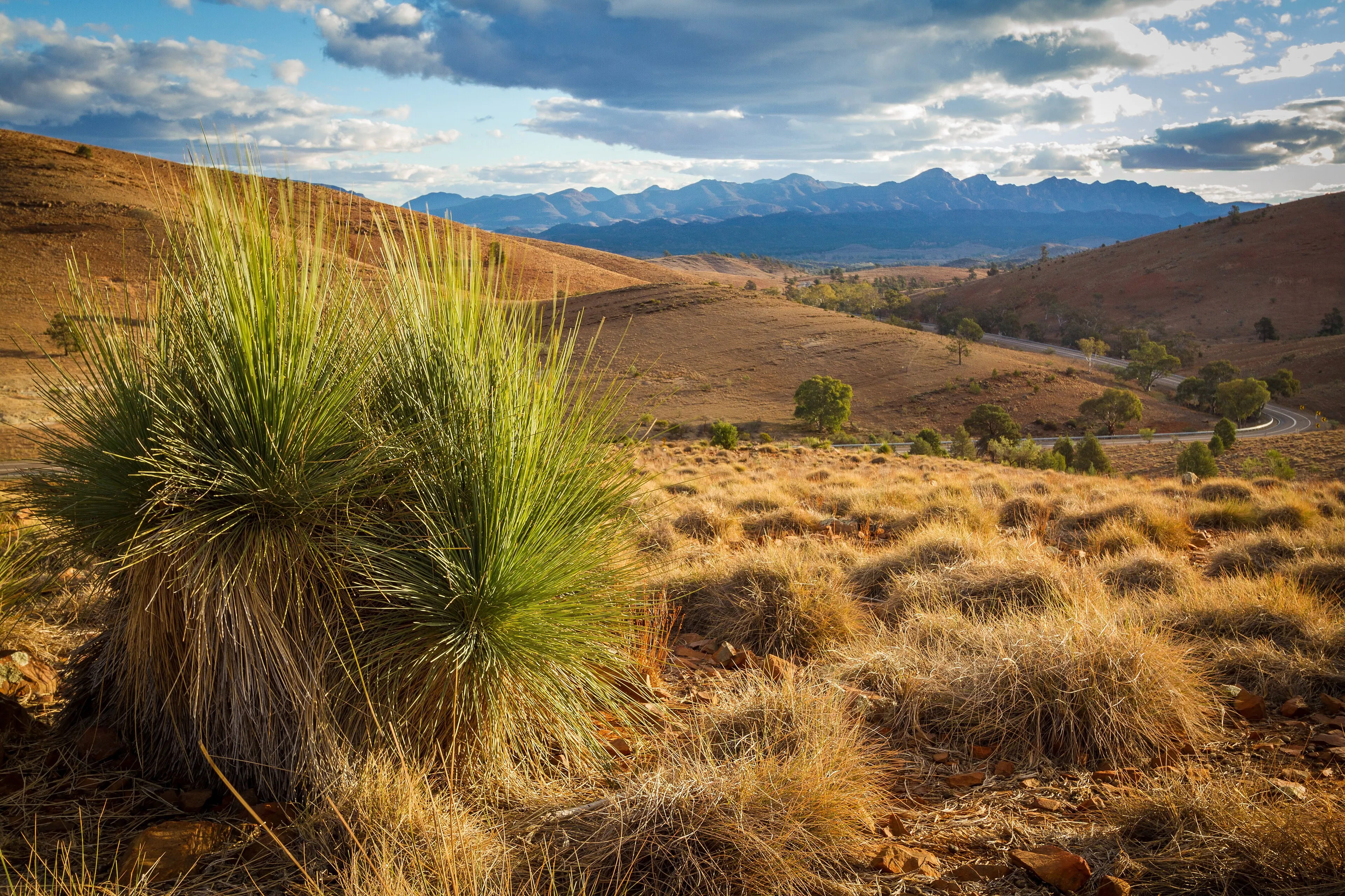 Flinders Ranges — the first proper outback