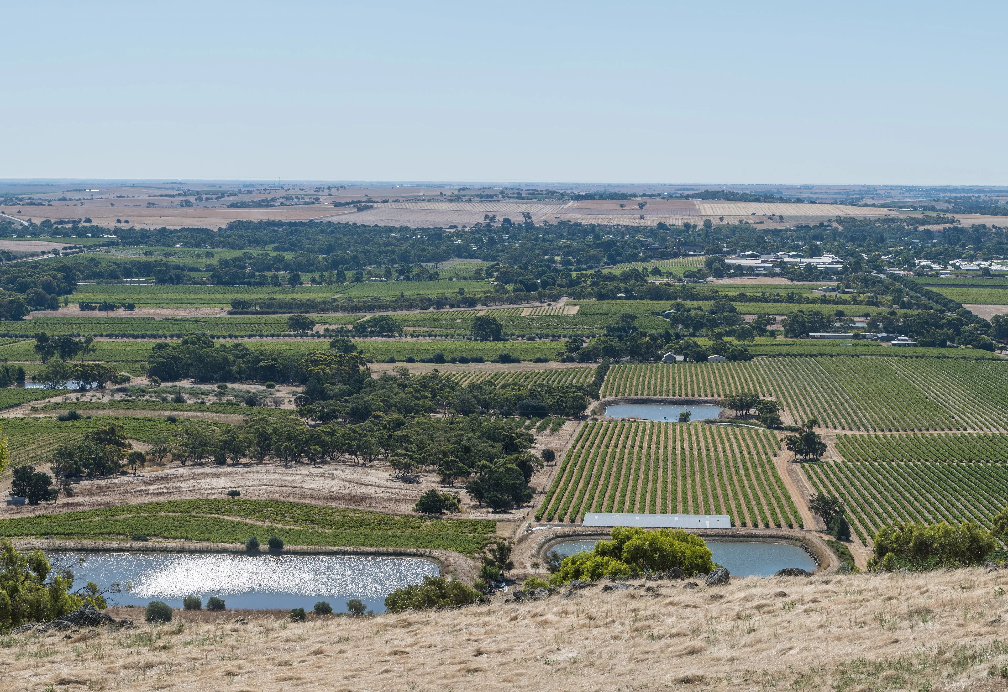 View over the Barossa Valley from Mengler Hill