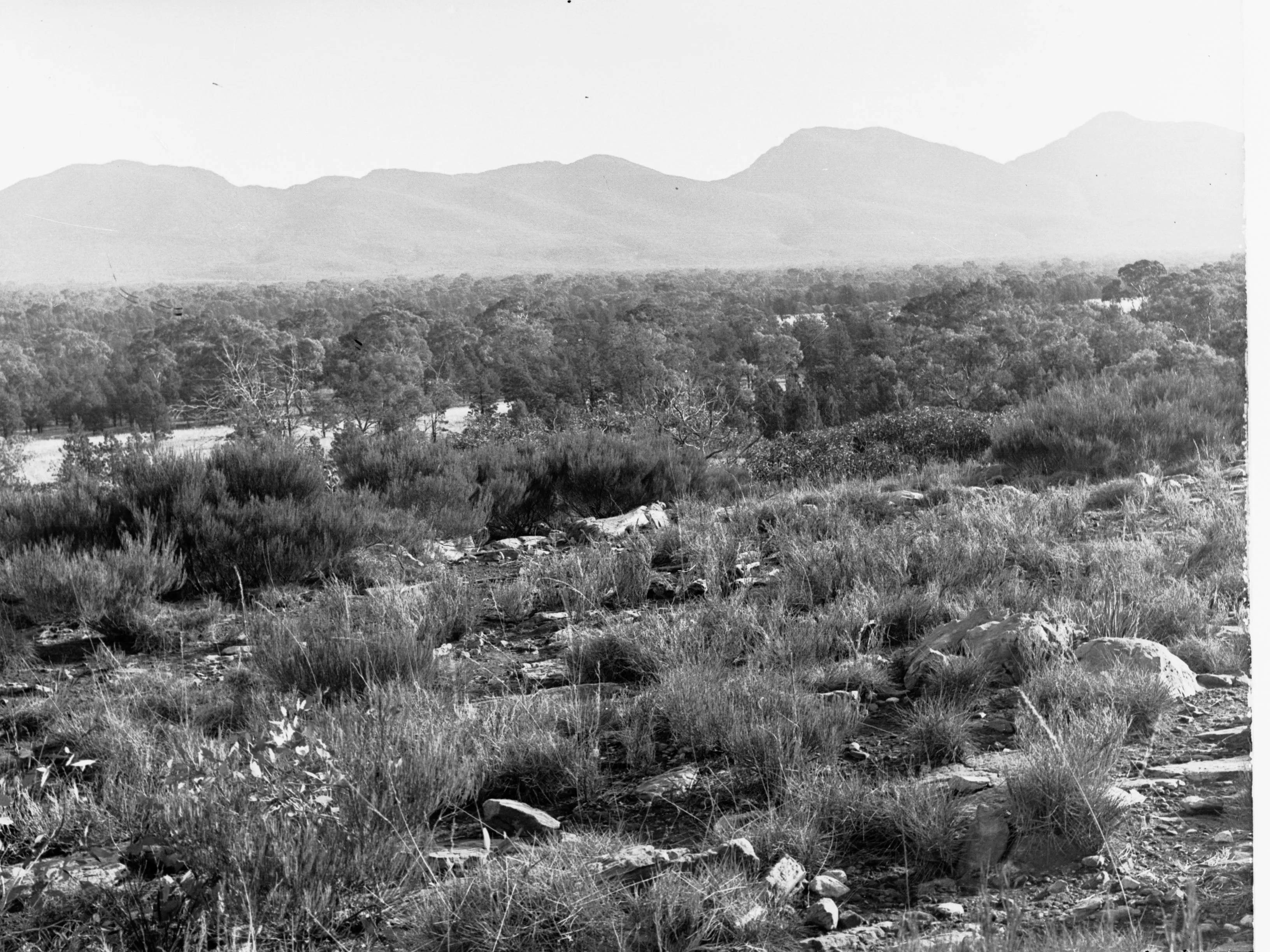 Flinders Ranges — the first proper outback