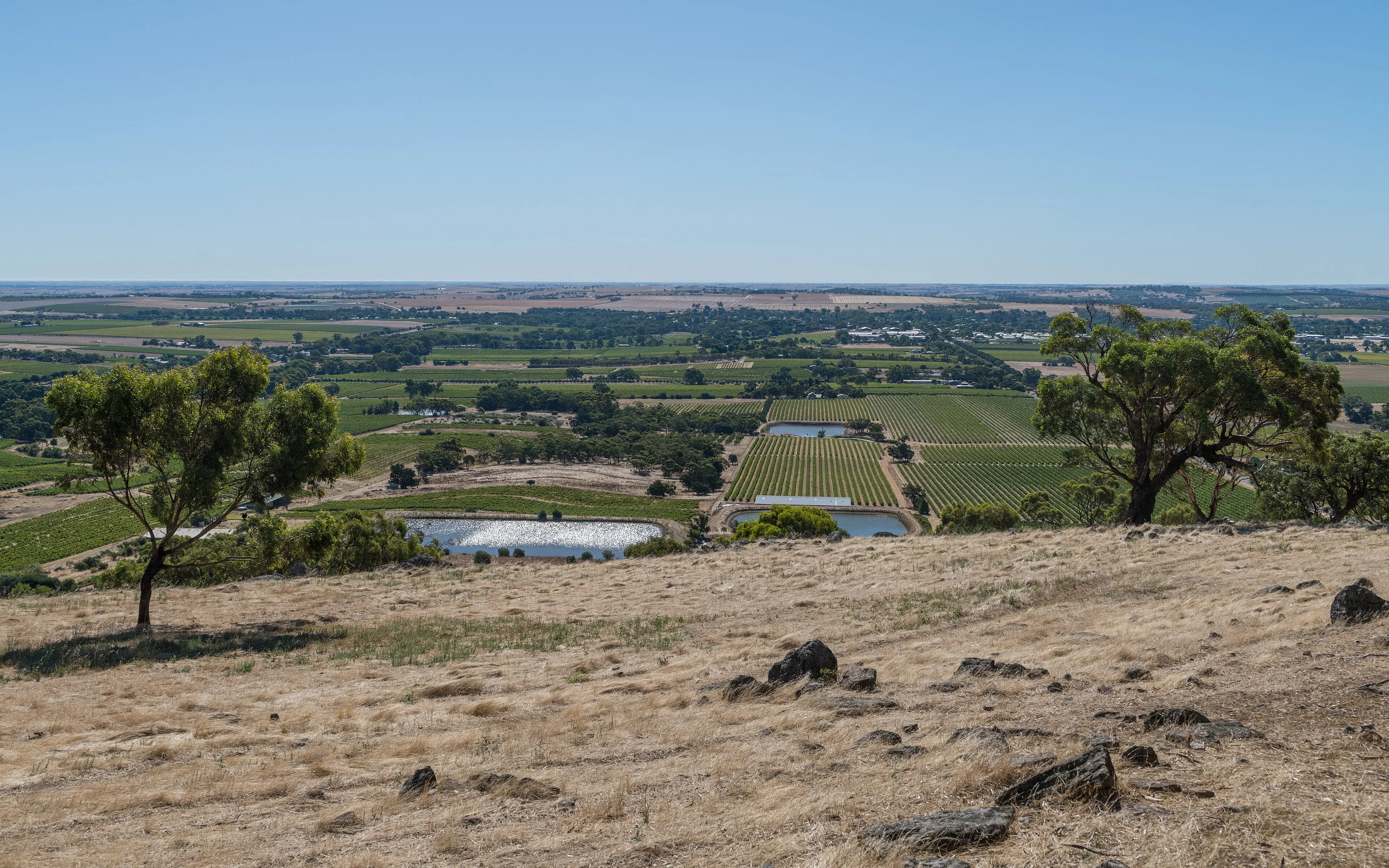 A second view from the Mengler Hill lookout